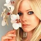 imi place foarte mult cum cinta avril lavingne