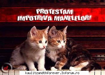 Anti-Manele Campanie - Protesteaza pana si pisicutele, ce te opreste si - Avril Lavigne